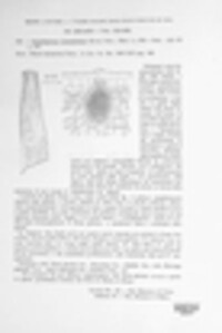 Coniothyrium concentricum image